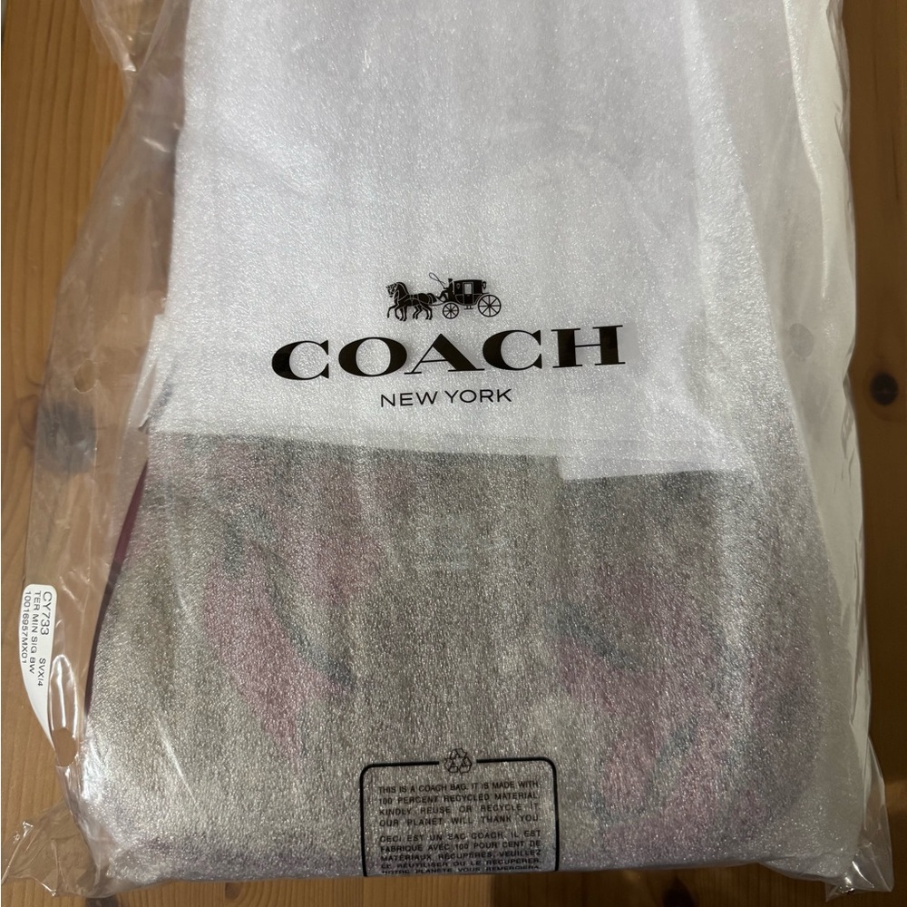 🎁CoachTeri Mini Crossbody Bag In Signature Canvas With Bow Print - Picture 6 of 8